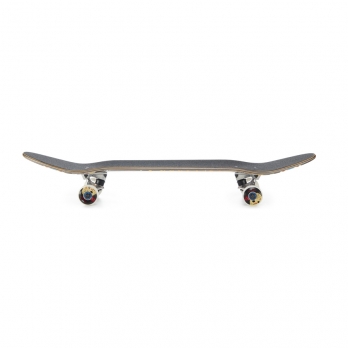 Complete Skate CIRCULAR Turquoise 2