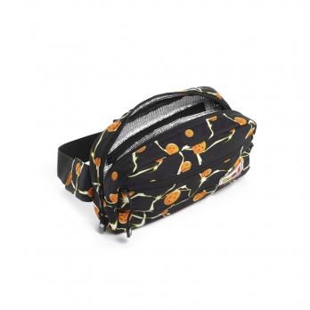 Riñonera BG COOLER DRAGON BALL Z Black Dragon Balls 2