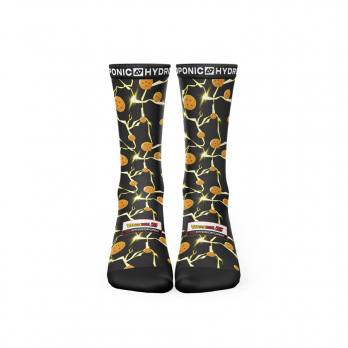 Socks DRAGON BALL Z Dragon Balls 2