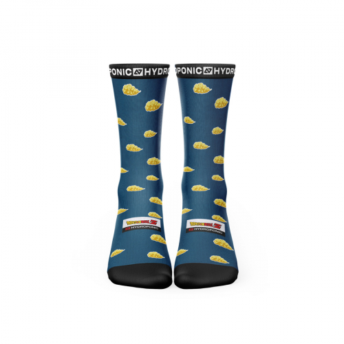 Socks DRAGON BALL Z Kintoun Navy