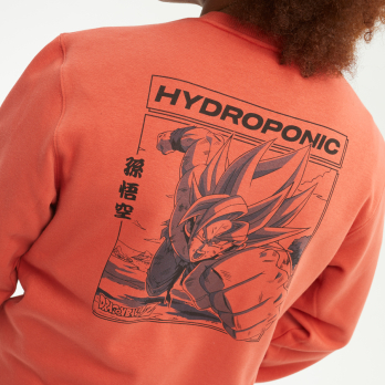 Sudadera sin Capucha DRAGON BALL Z COMIC Terracota 2