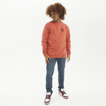 Crewneck Youth DRAGON BALL Z COMIC Terracota