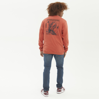 Crewneck Youth DRAGON BALL Z COMIC Terracota 2
