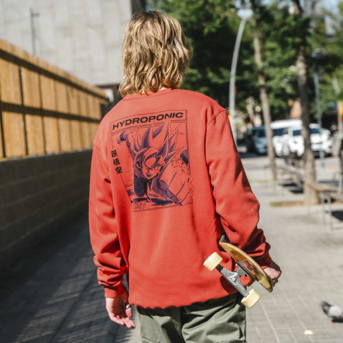 Sudadera sin Capucha DRAGON BALL Z COMIC Terracota