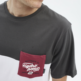 T-Shirt ALWAYS Charcoal / White 2
