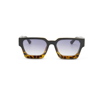Sunglasses EW MAPLE Black to Tortoise + Gradient Black 2