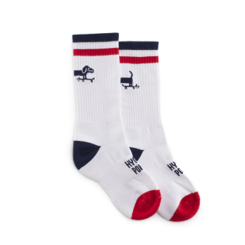 Socks DACHSHUND White