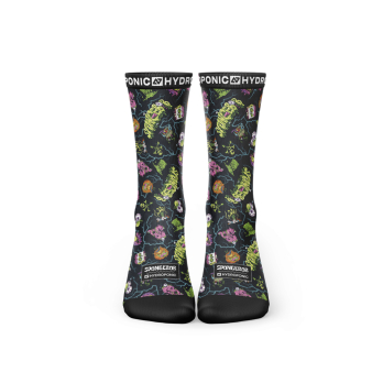 Socks SPONGE BOB HALLOWEEN Black