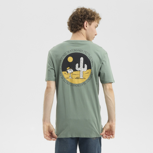 T-Shirt PEANUTS CACTUS  Green Bay