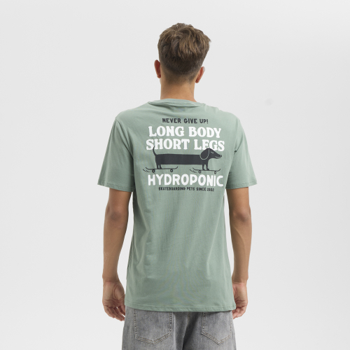 Camiseta DACHSHUND Green Bay