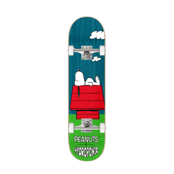 Complete Skate PEANUTS House Green