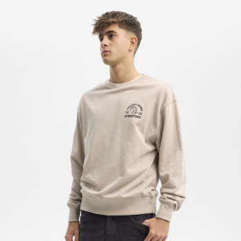 Crewneck DUCK Taupe 2