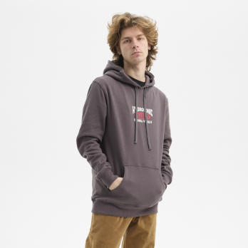 Hoodie PEANUTS TENT Bison Grey 2