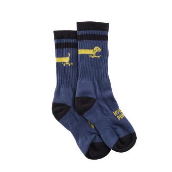 Socks DACHSHUND Blue