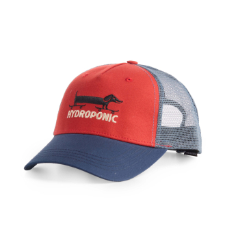 Cap LONG DOG Terracota / Navy 2